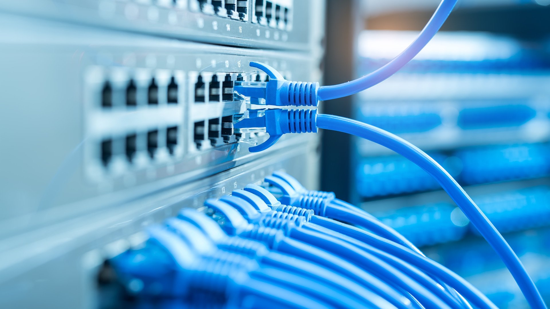 Nahaufnahme: Netzwerkkabel in einem Hub im Data Center