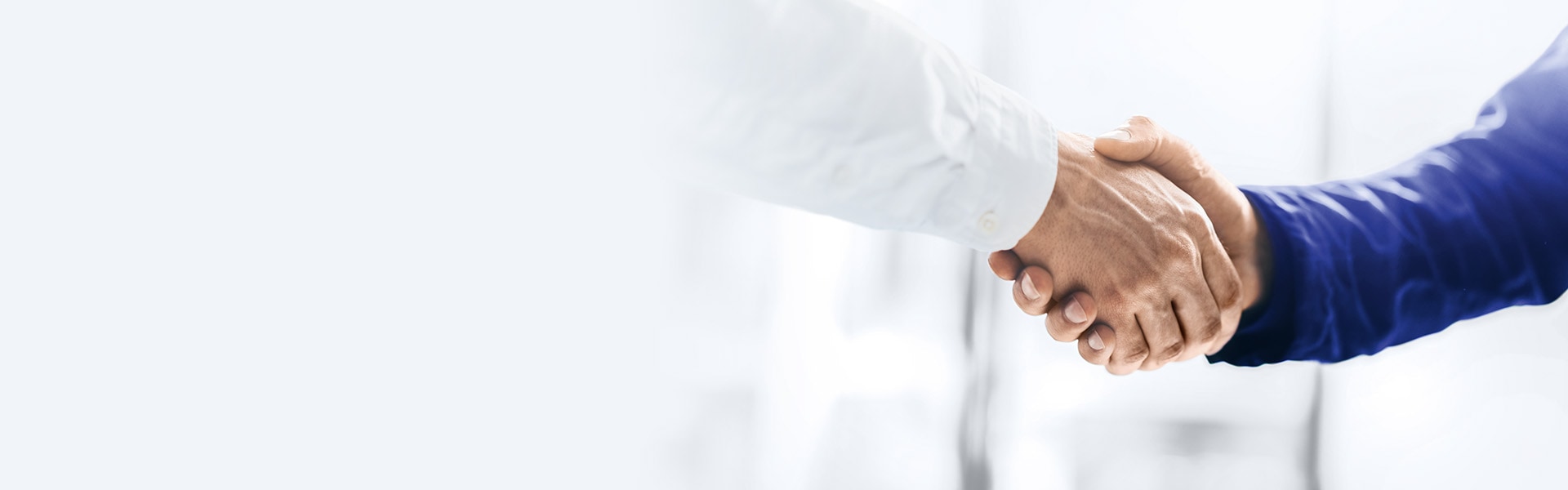 Business Partner Programm