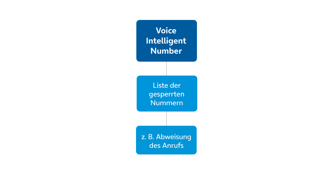 Sprachmehrwertdienste Erklärgrafik 3